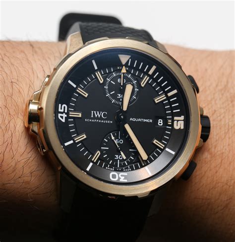 iwc charles darwin replica|iwc chronograph edition.